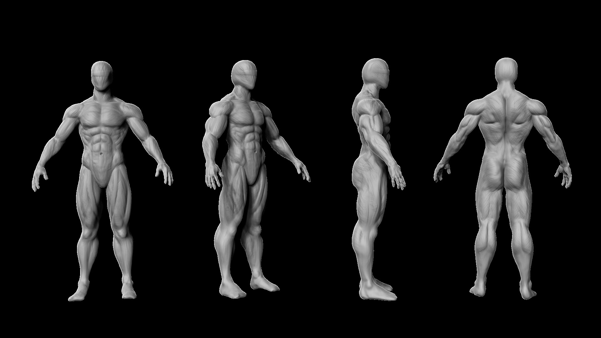 Full Body Anatomy Study Biology Diagrams
