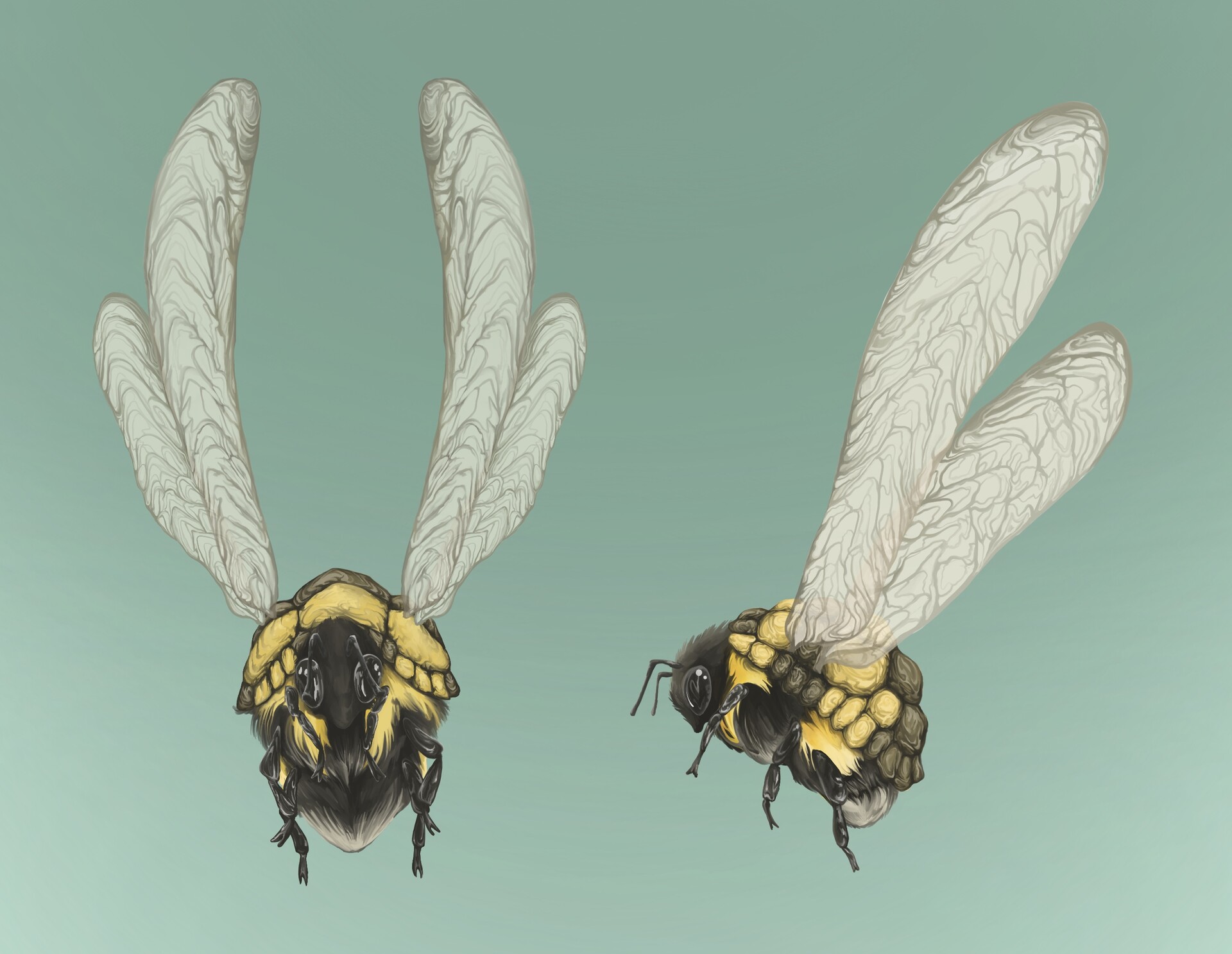 ArtStation - Turtle Bee