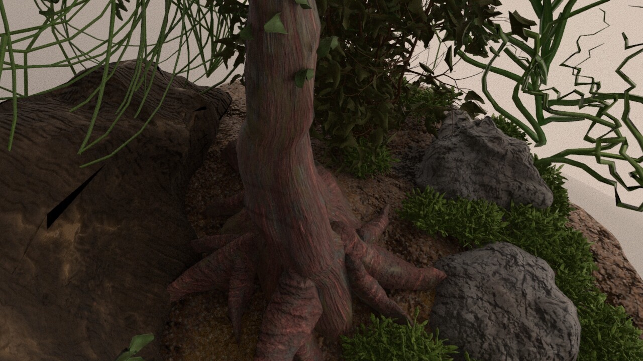 Inside look of the Terrarium