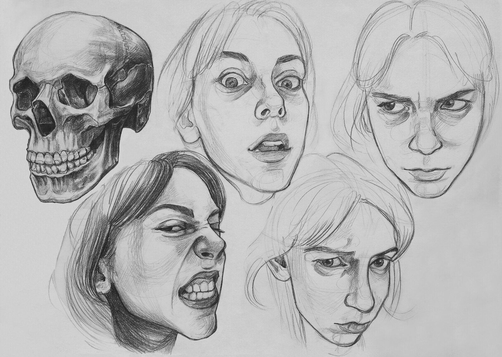 Ceyda KIZILCA / Dynamic Anatomy
