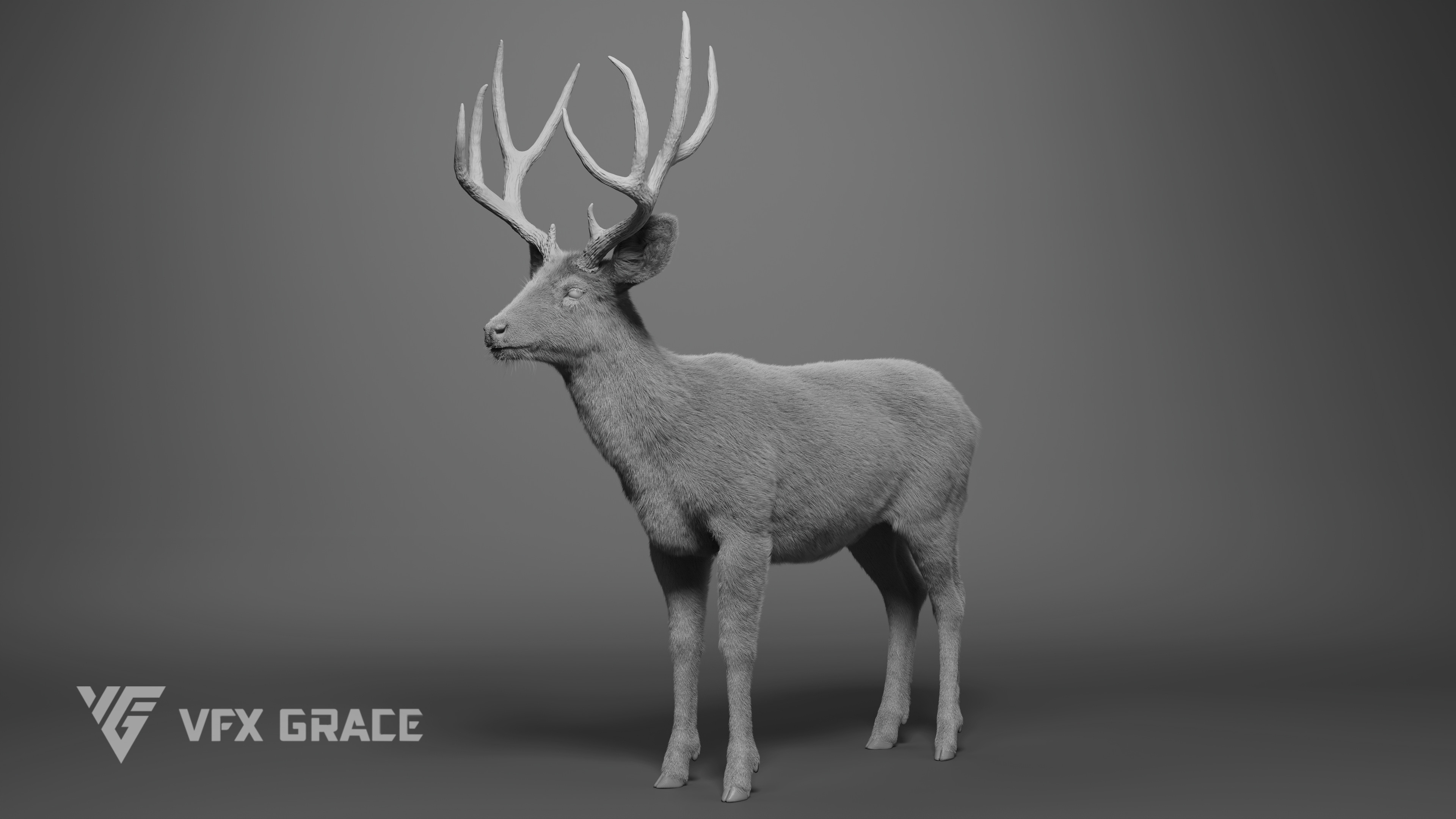 VFX models - Mule Deer Animated - MAYA Character Asset