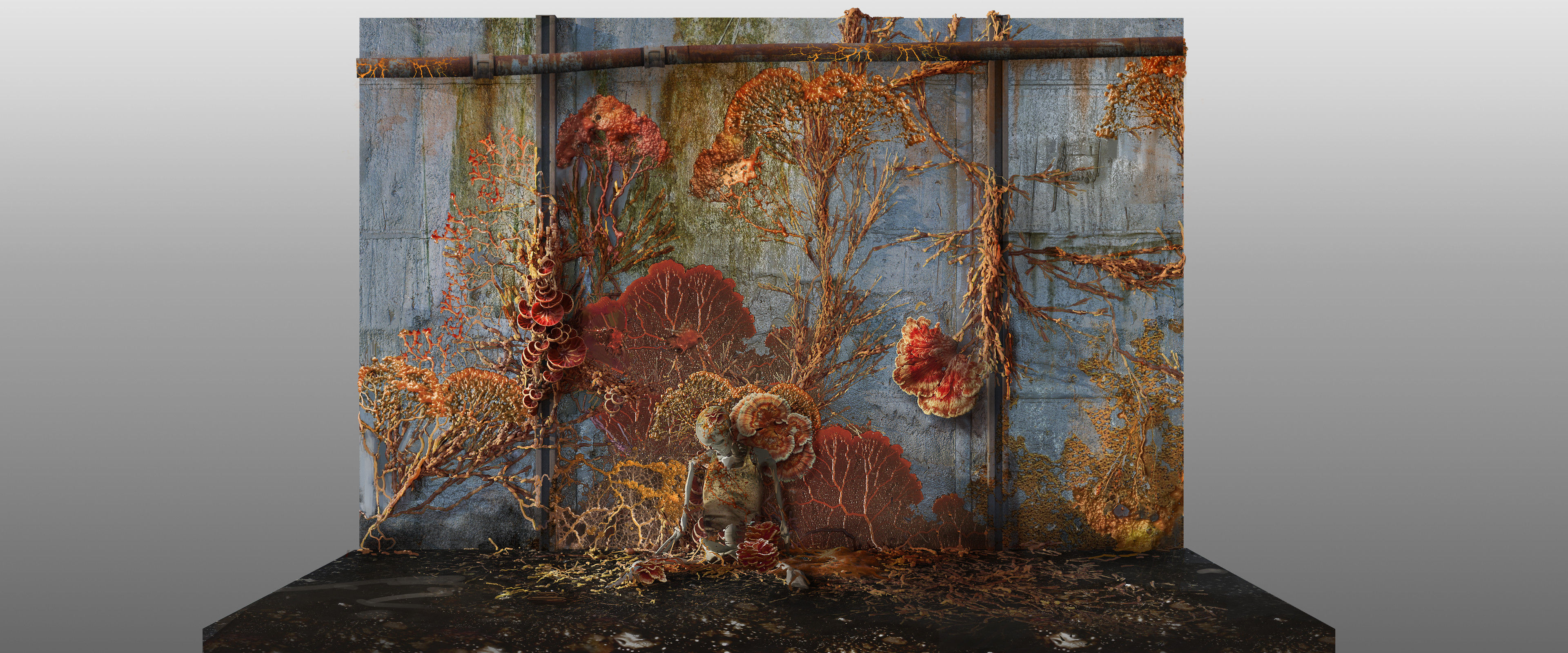Wall mushrooms details