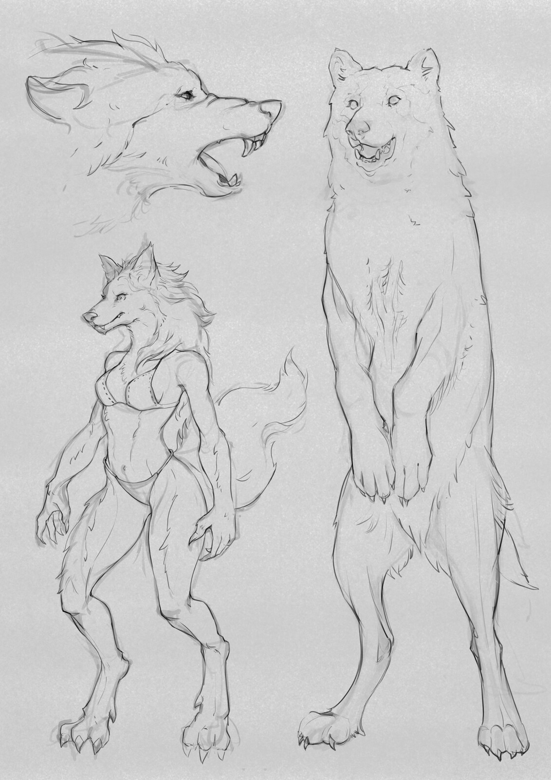 related studies