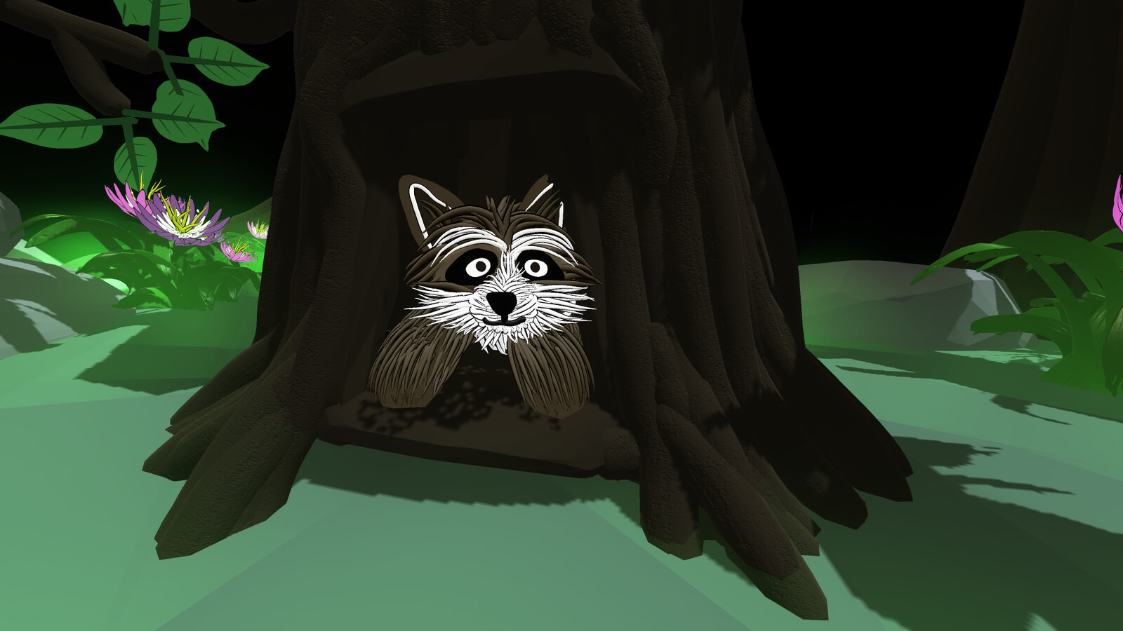 Raccoon