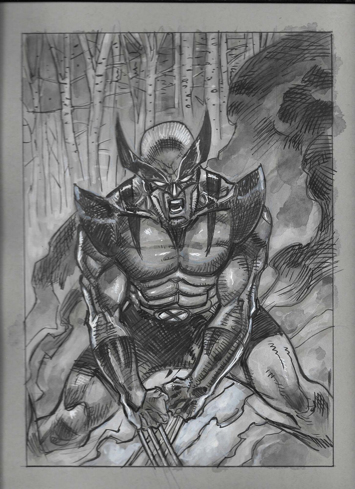 Wolverine in the wood