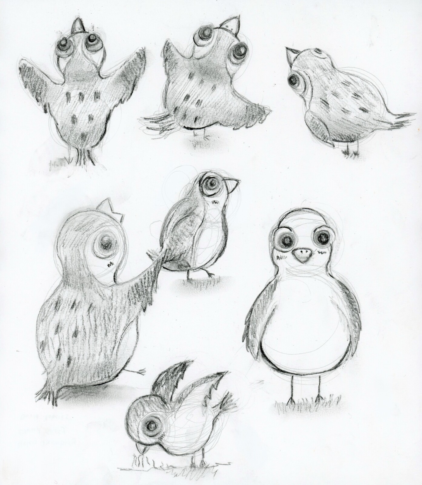 Character Design of the Birds