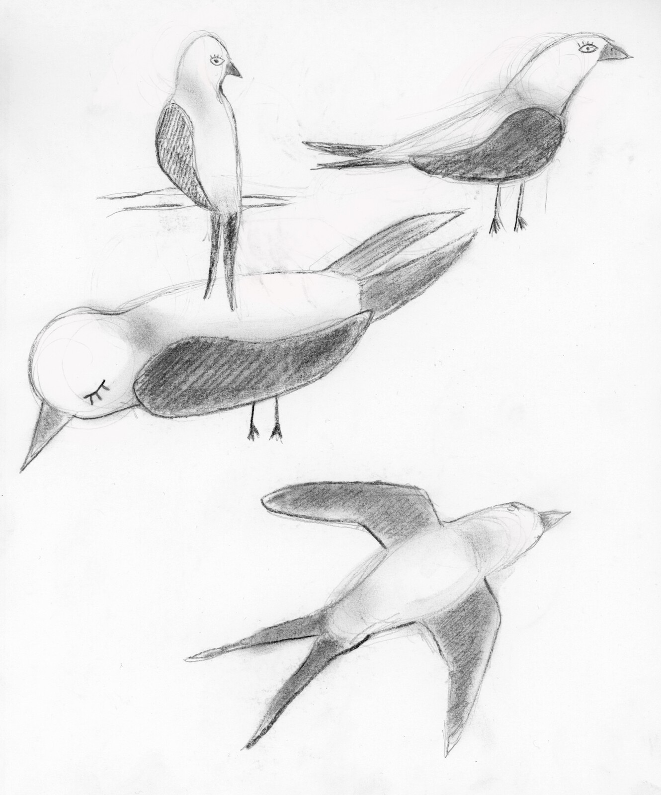 Character Design of the Sawllo