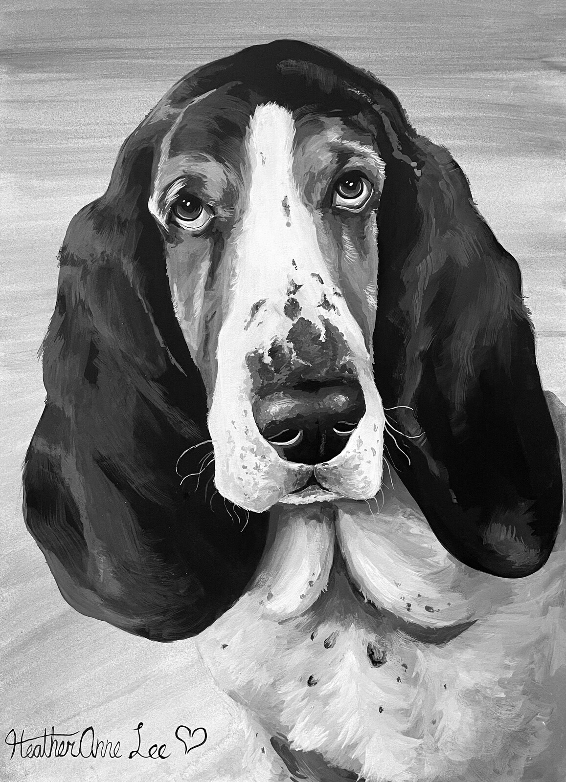 Basset Hound Pet Portrait