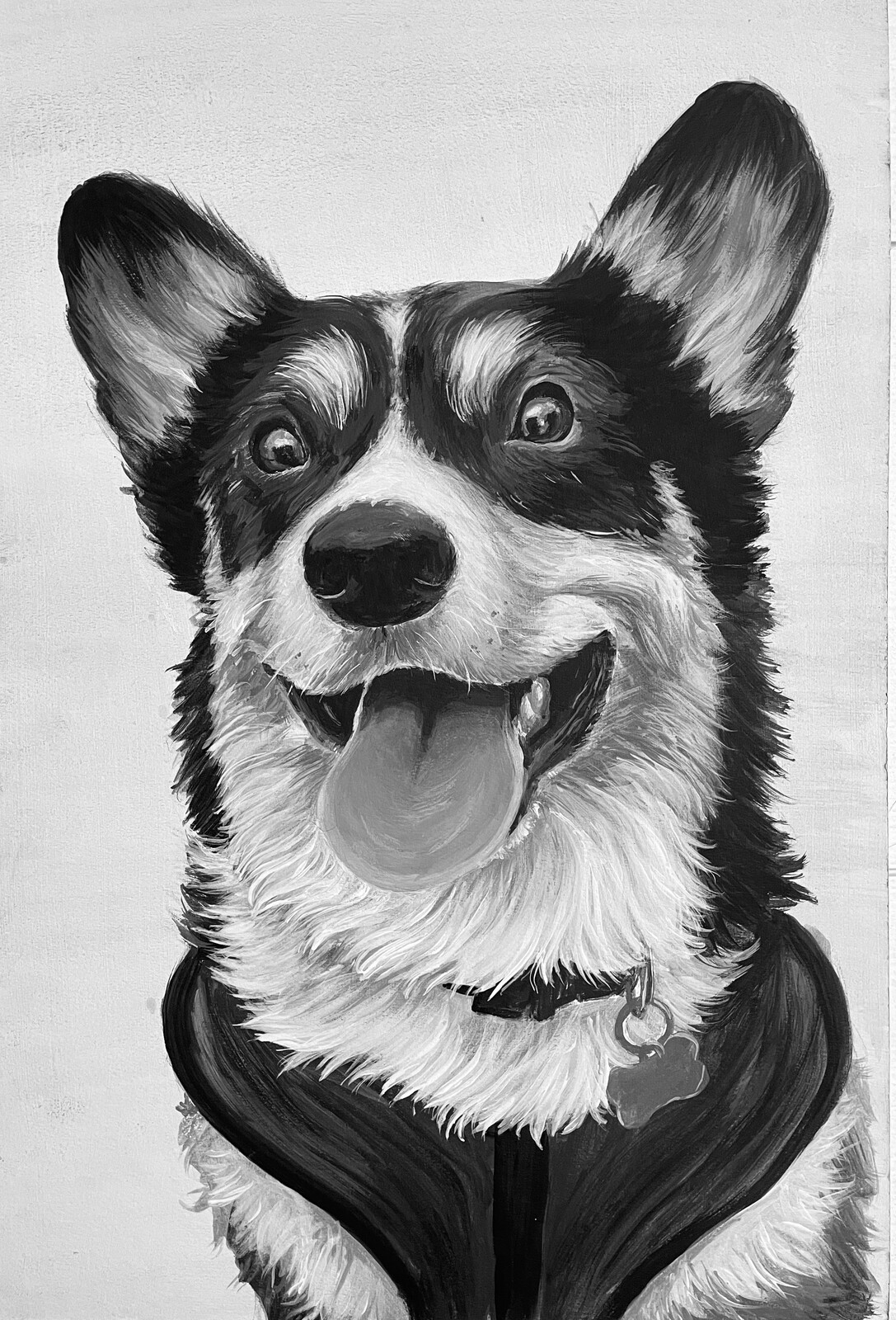 Corgi Pet Portrait