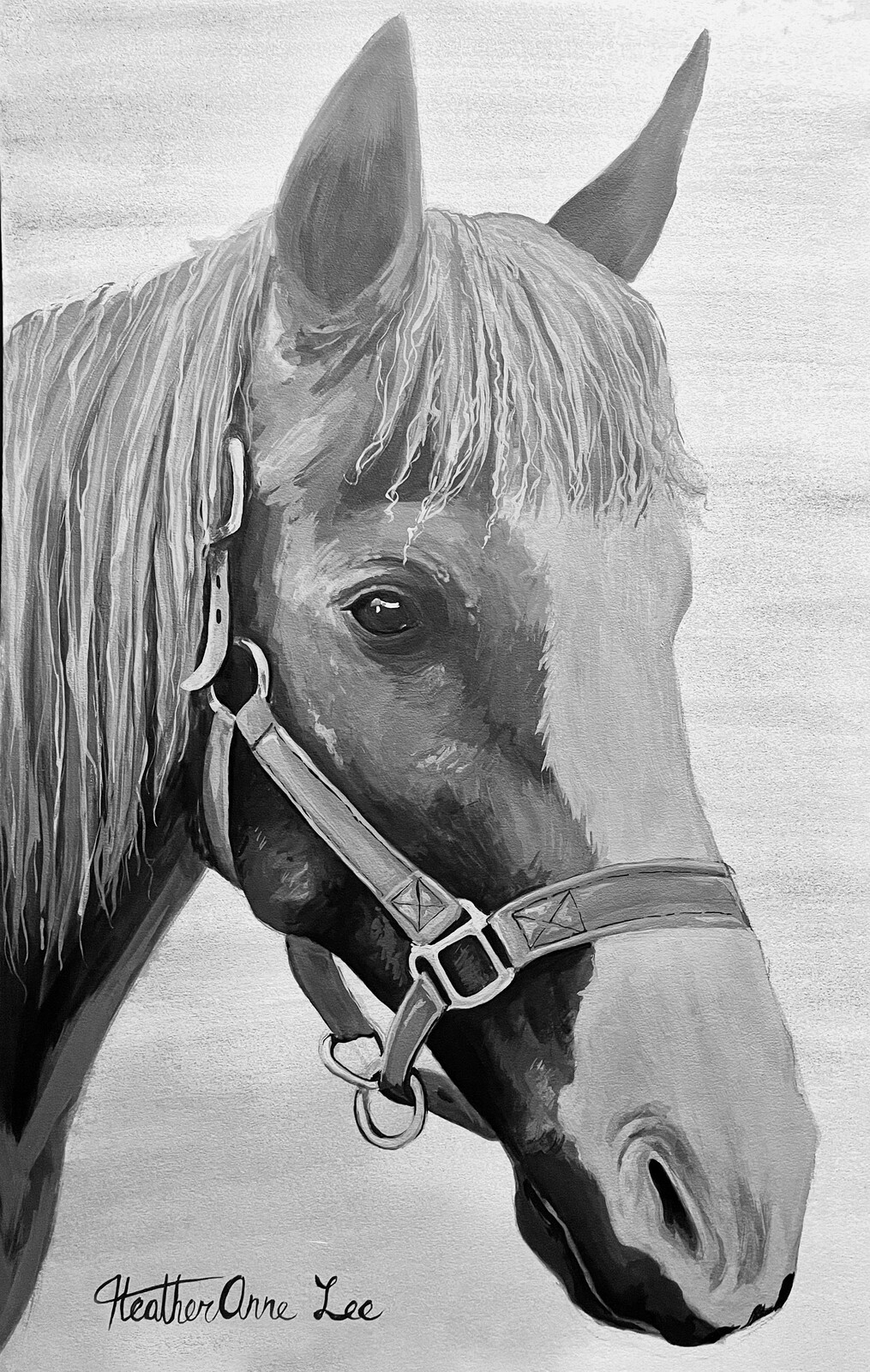 Horse Portait