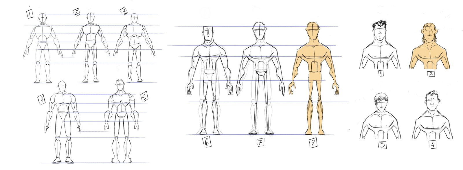 Body Type Variations
