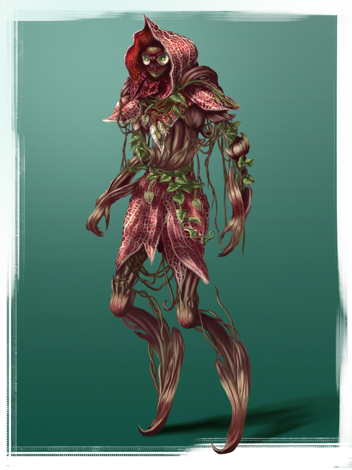 Aristolochia Dryad 