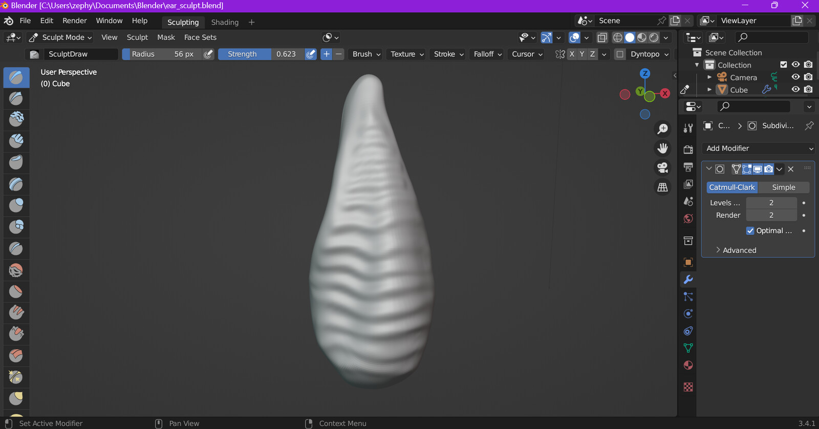 Sculpted ears, back