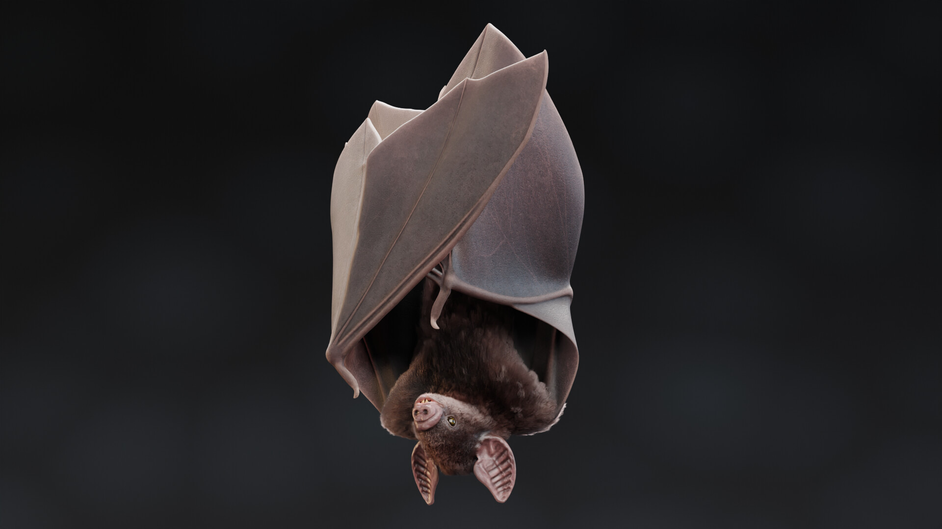 Michael Bescec - Vampire Bat 3D Model Rigged