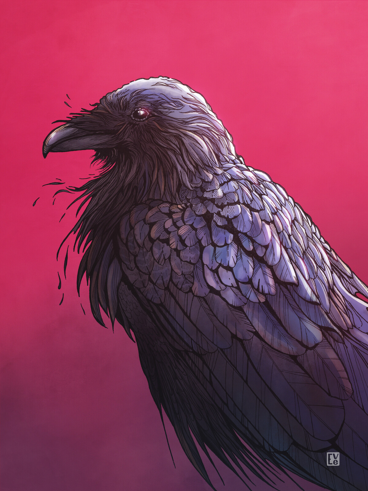 Raven