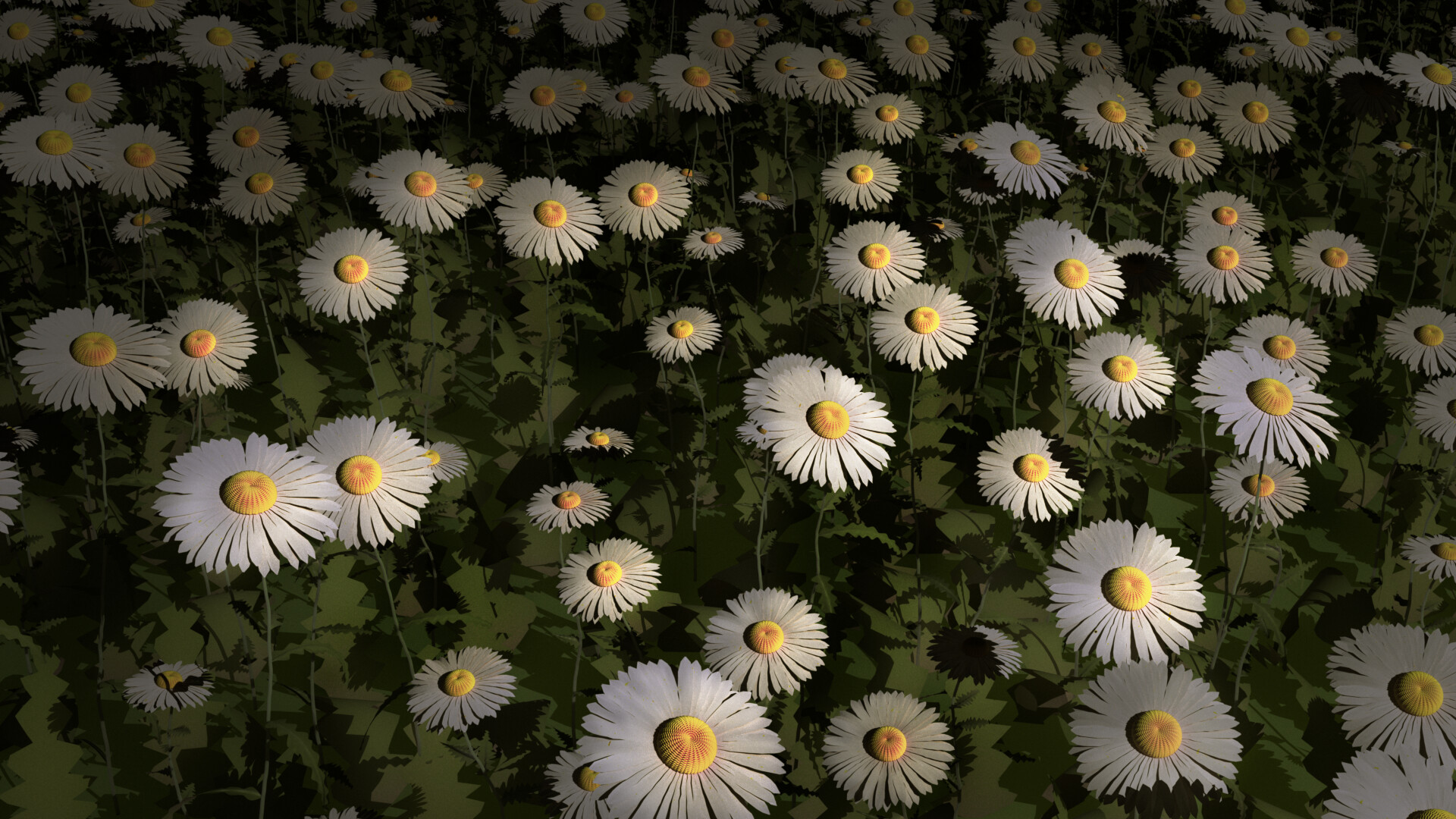 Daisy Tool