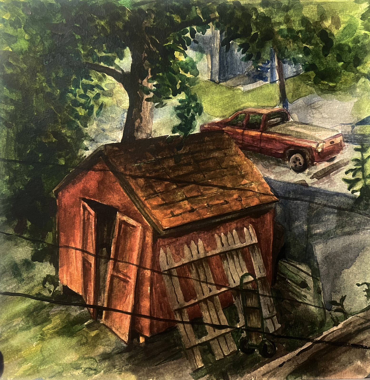 Shed