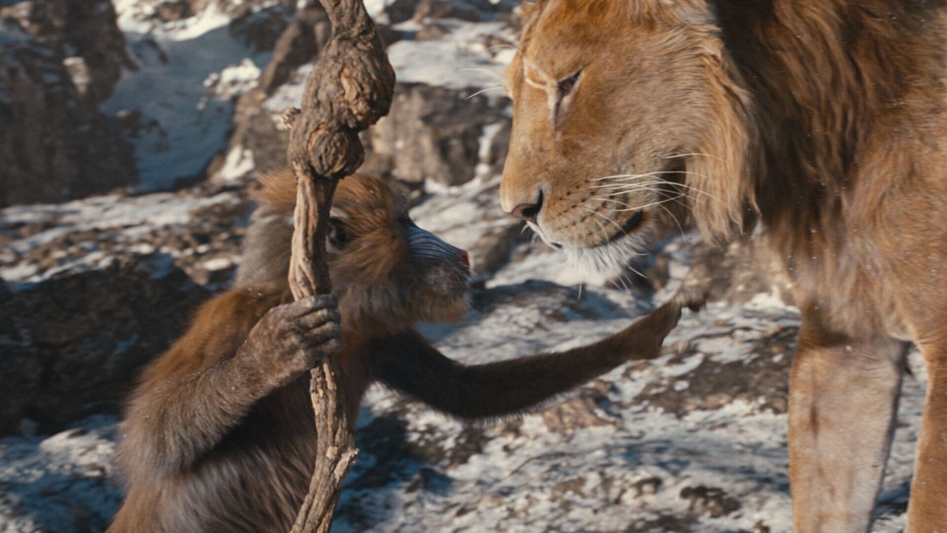 ArtStation WATCH Mufasa The Lion King FULLMOVIE ONLINE ENGLISH