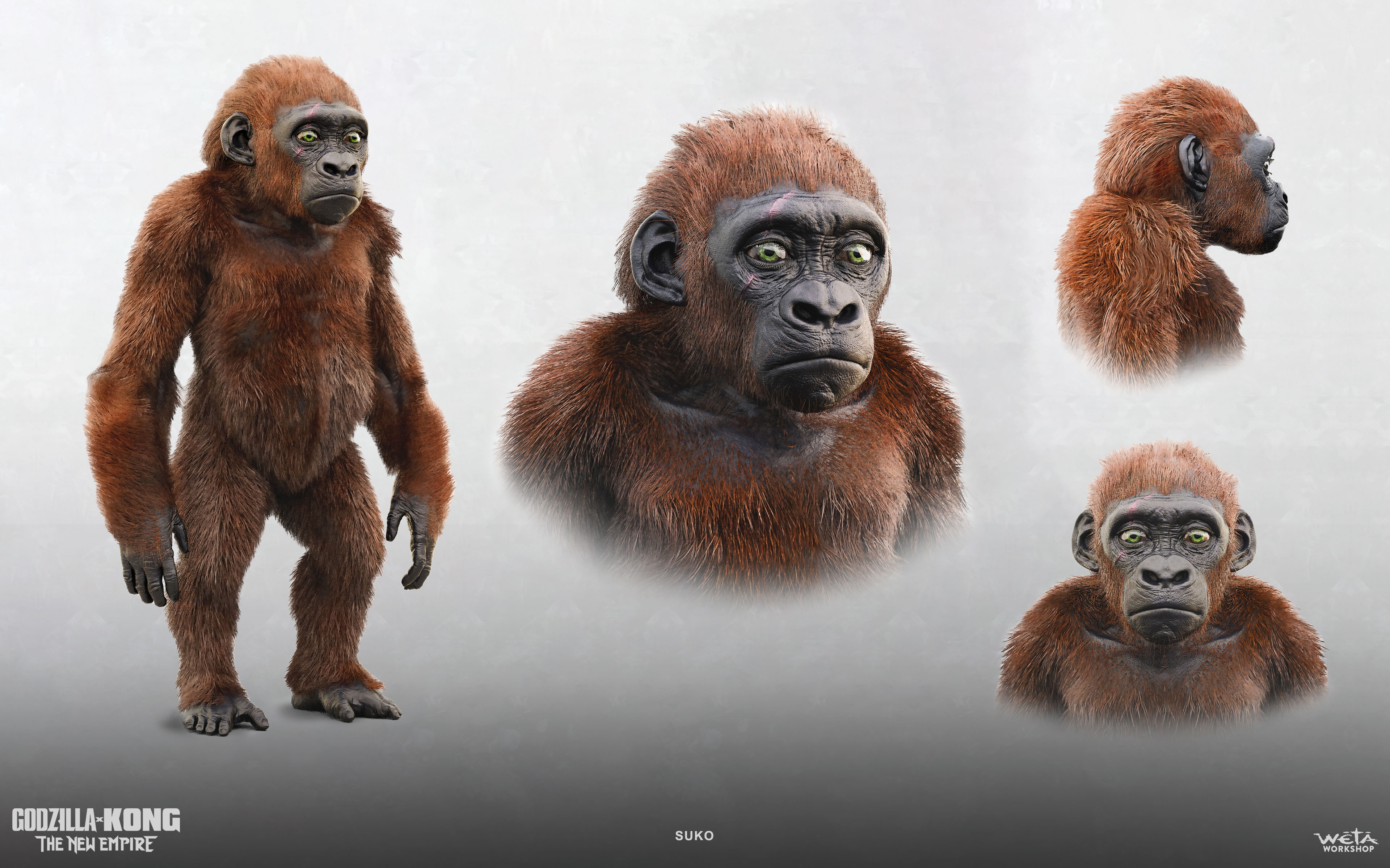 Based on an initial concept by Jared Krichevsky.