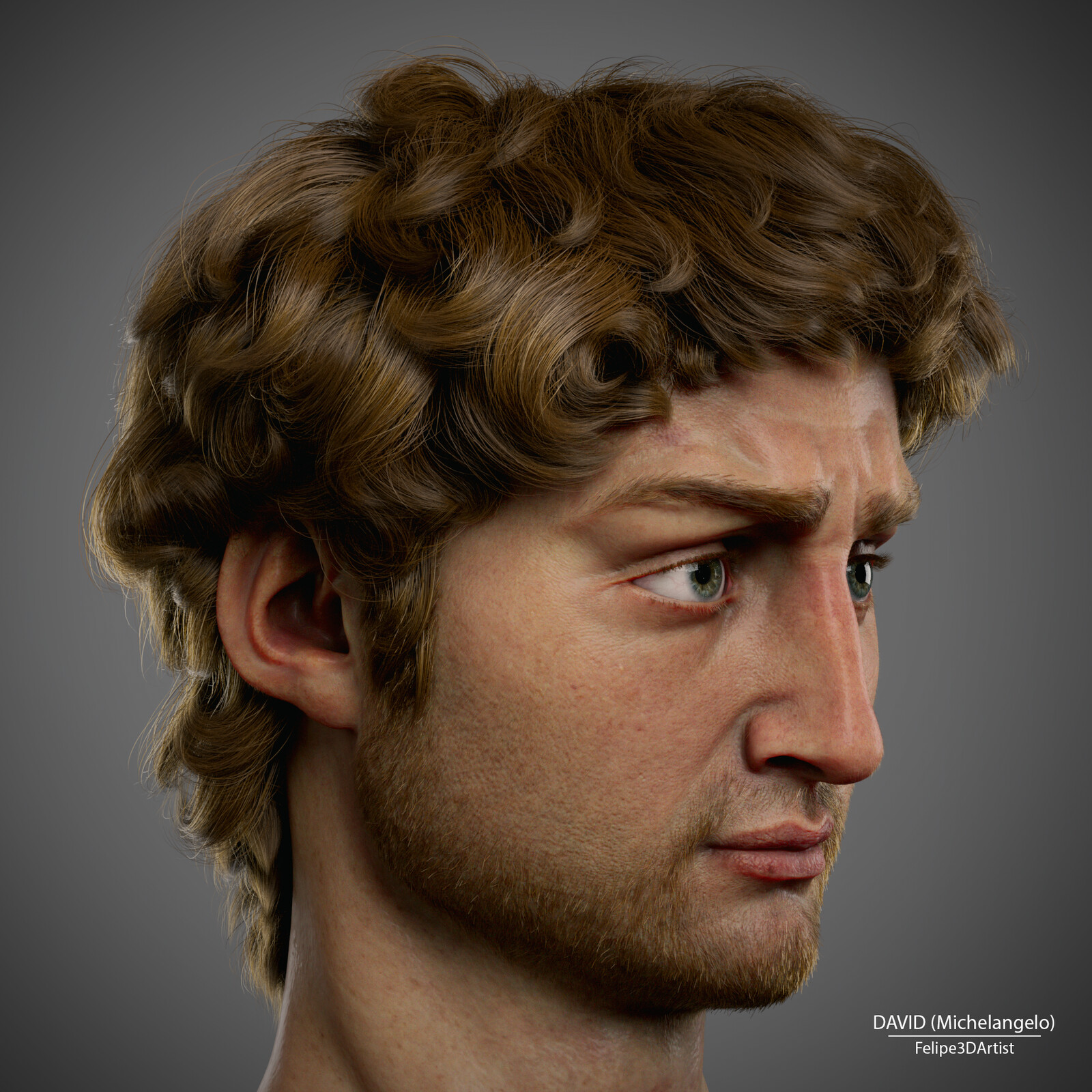 Realistic David (Michelangelo) 3D Rendering