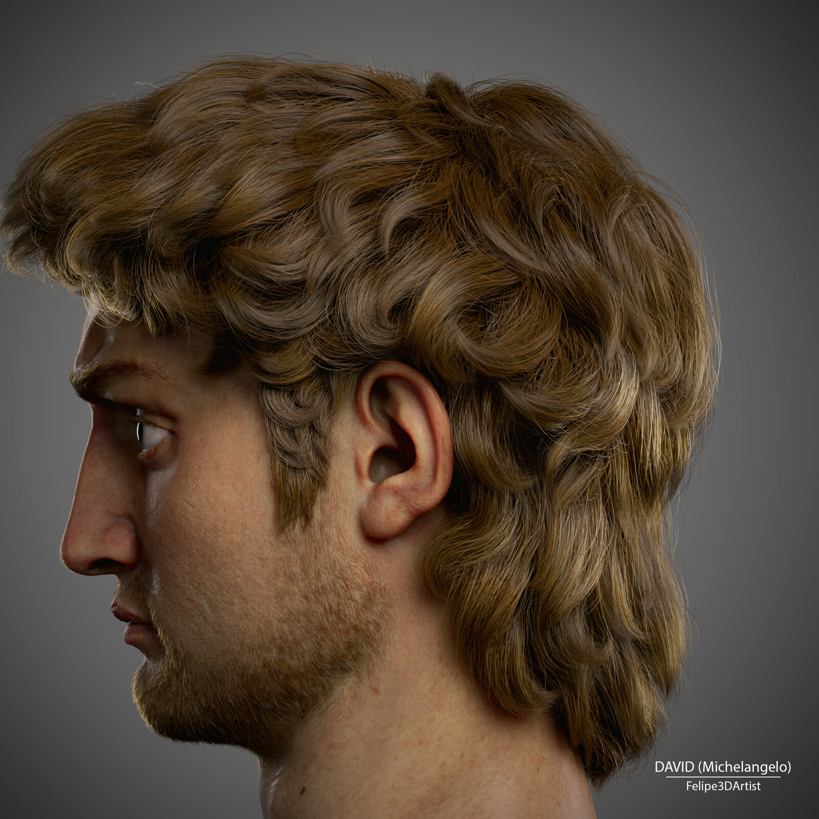 Realistic David (Michelangelo) 3D Rendering