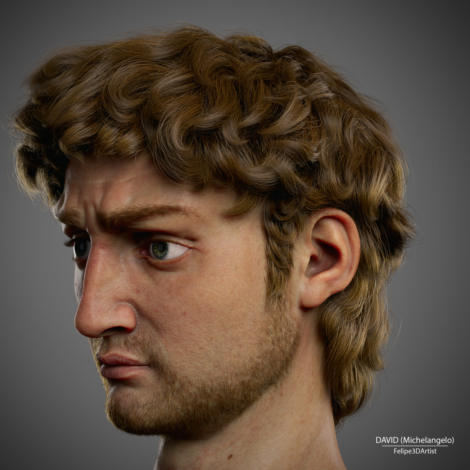 Realistic David (Michelangelo) 3D Rendering
