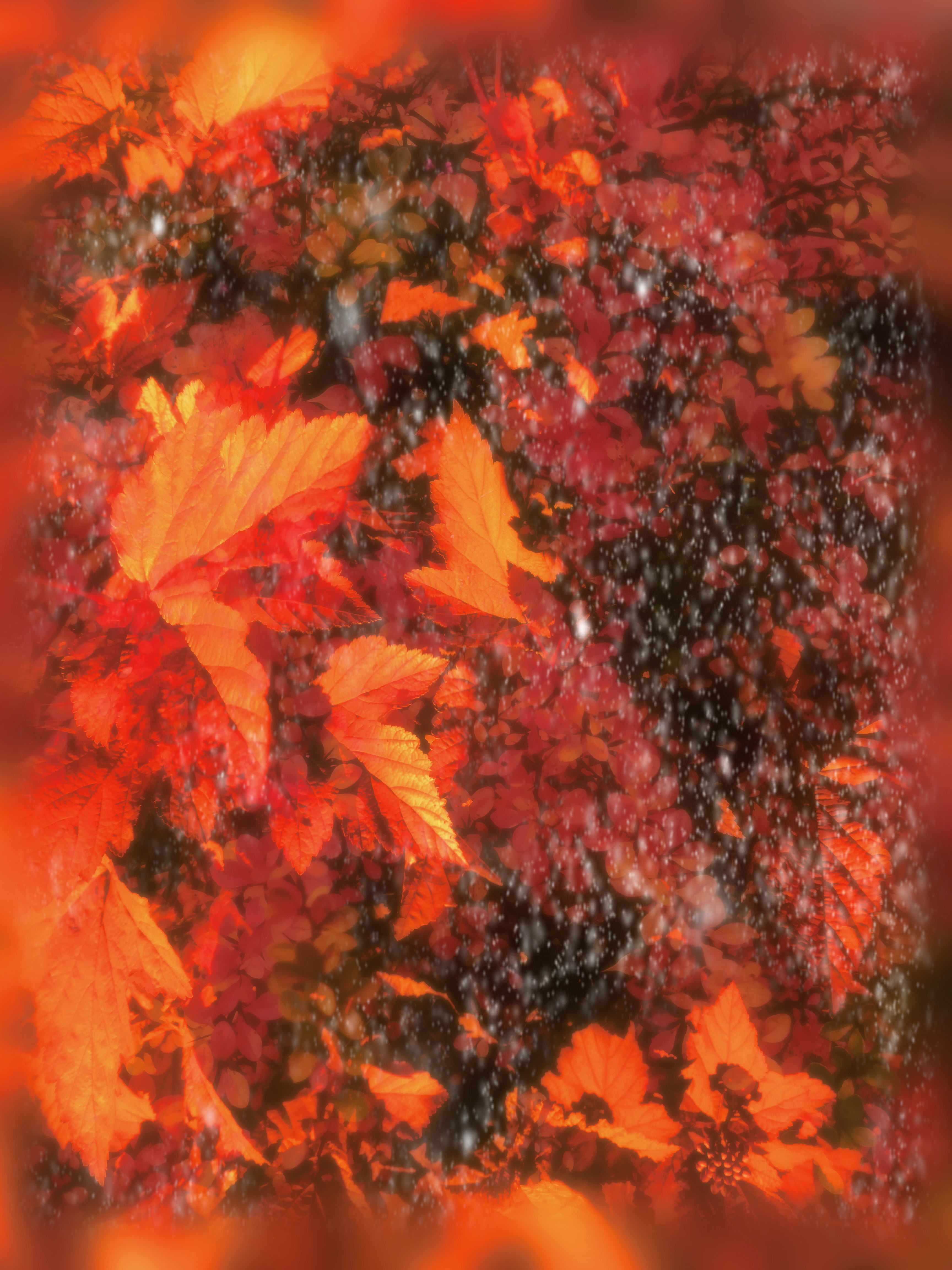October sketch