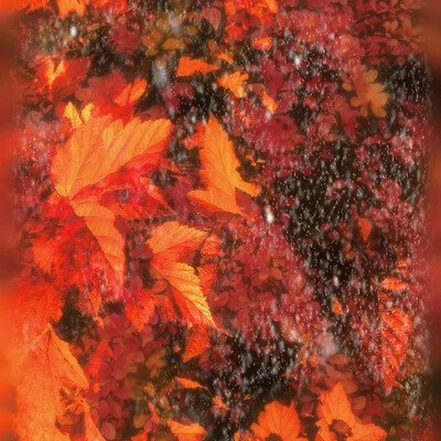 October sketch