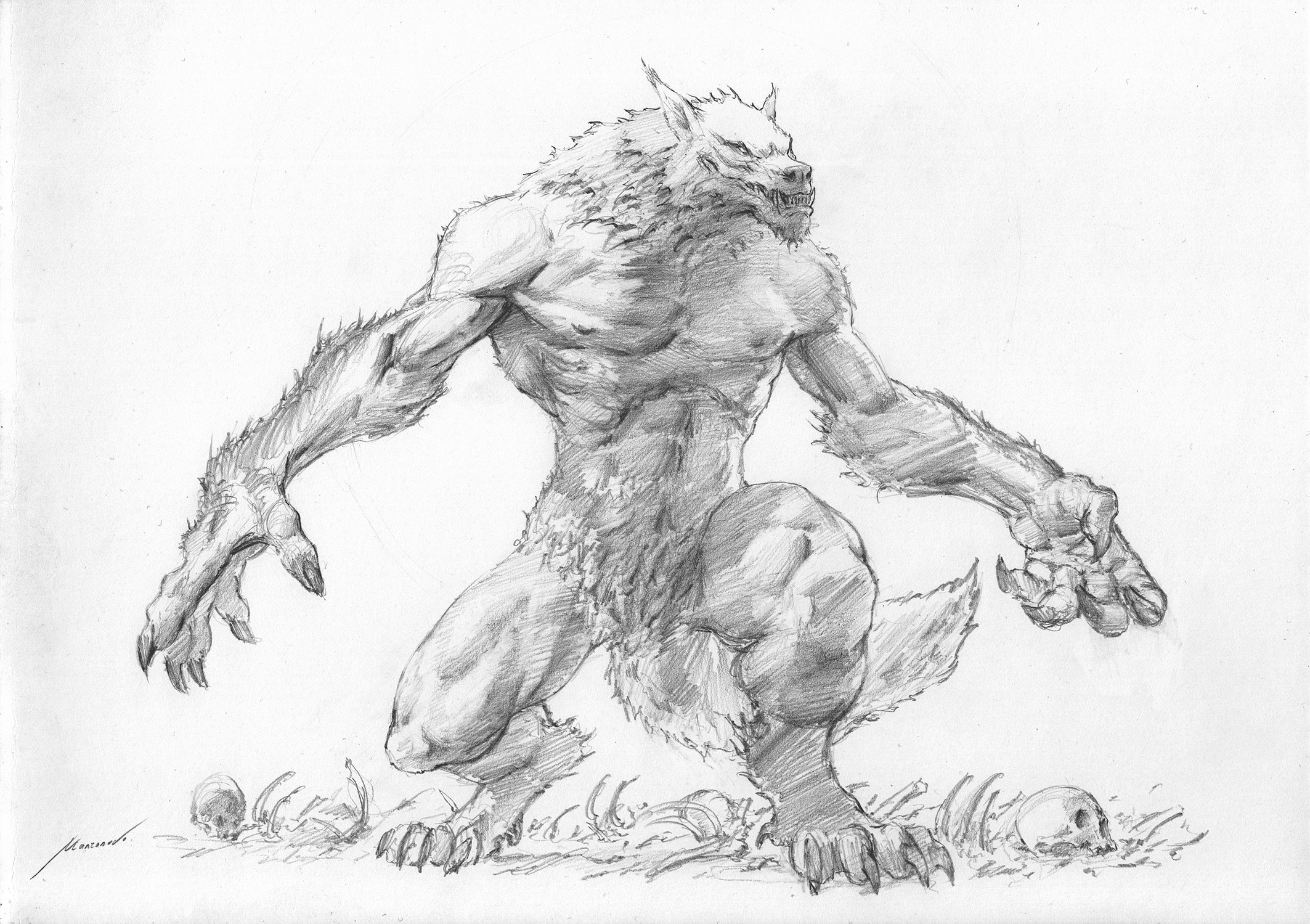 Sketch