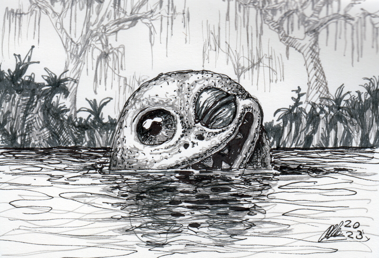 2023 - drawings
