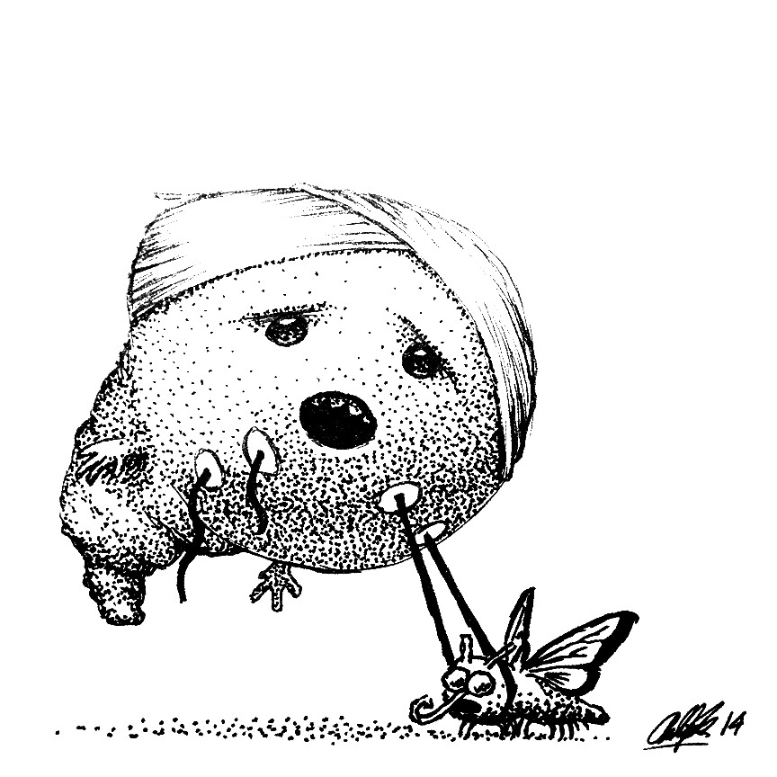 2014 - drawings