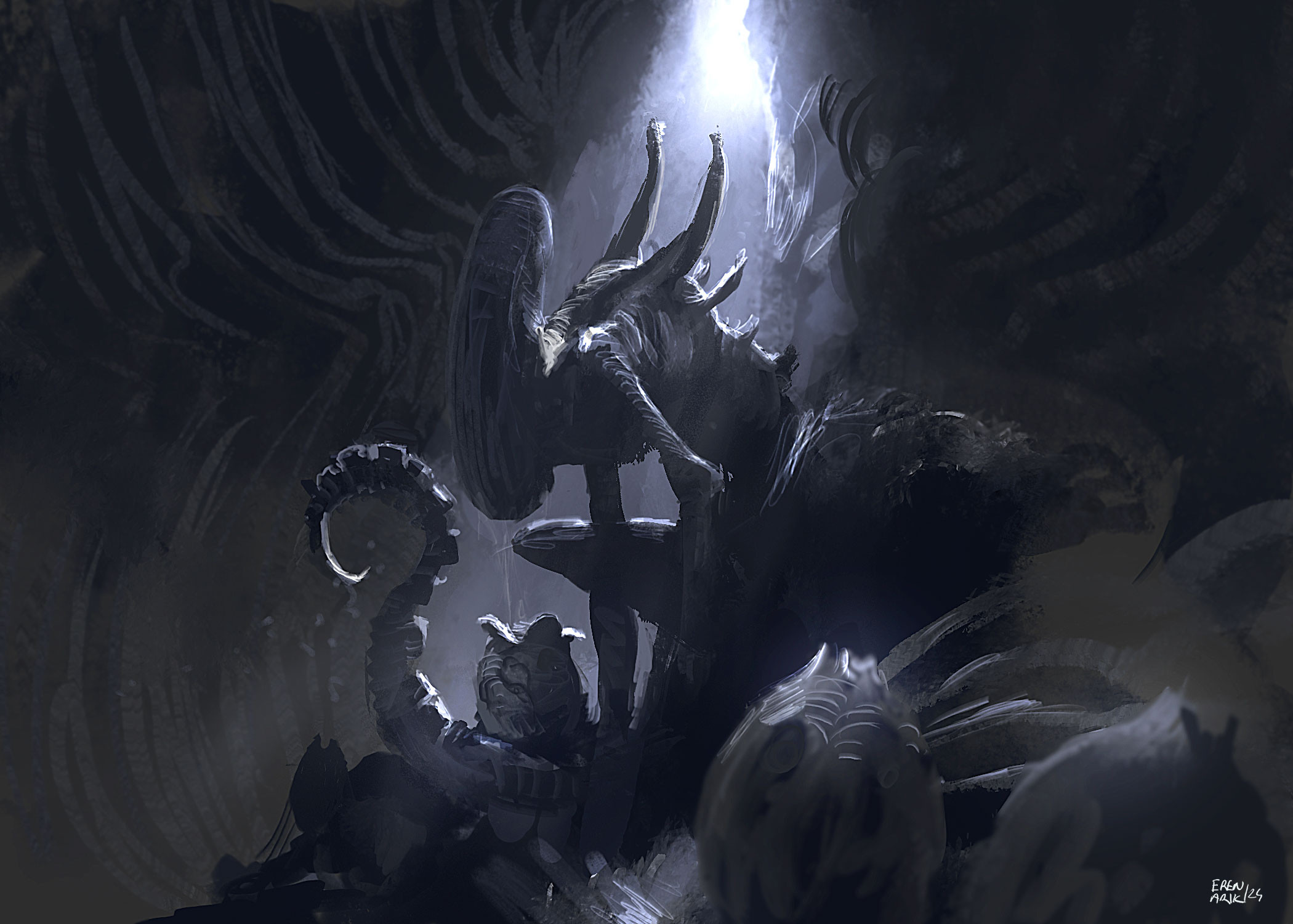 Xeno
