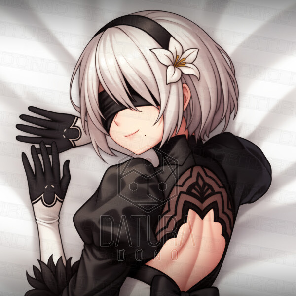 2b dakimakura outlet