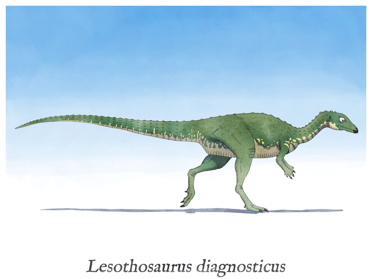 ArtStation - Dinosaurs from A to Z - L is for Lesothosaurus