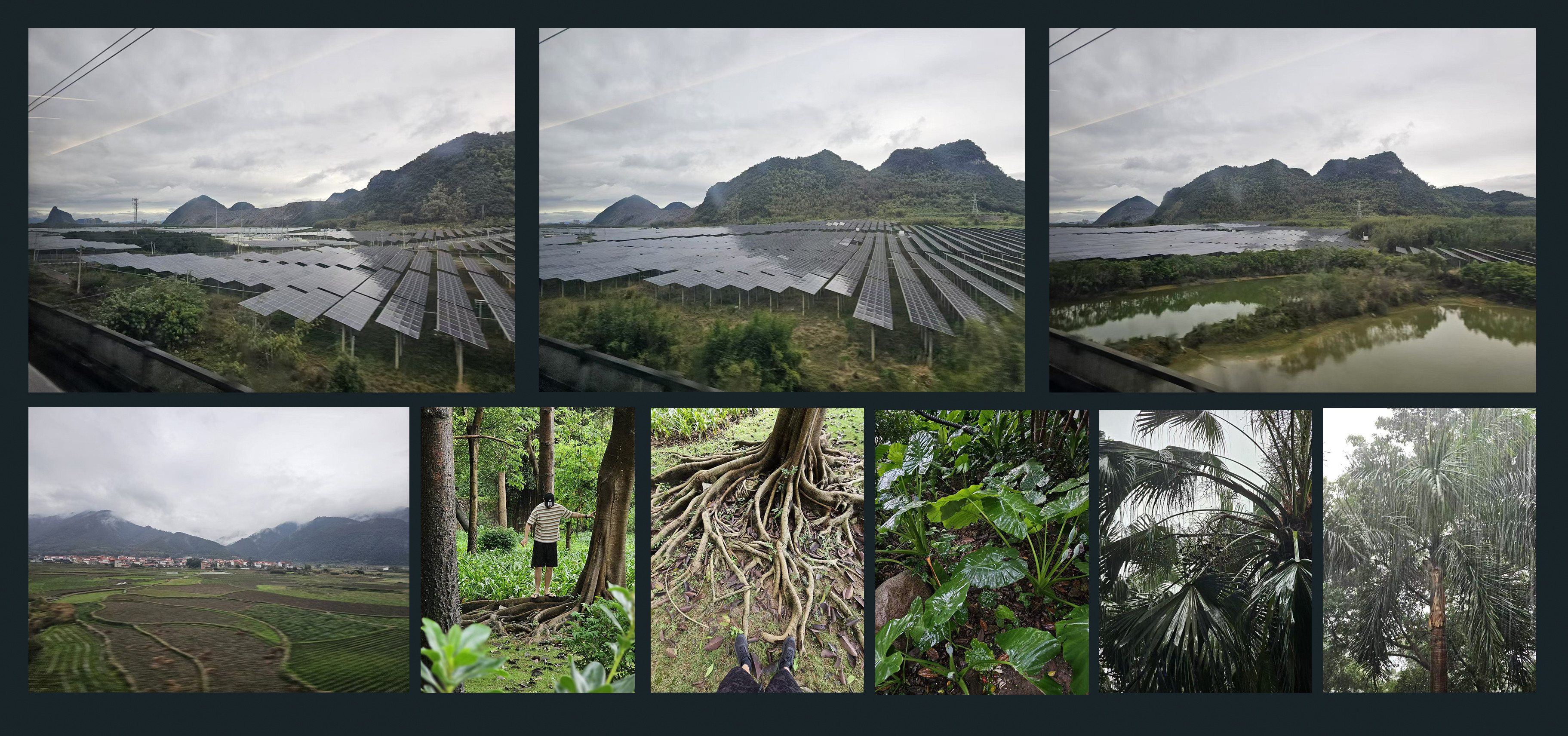 personal photo references