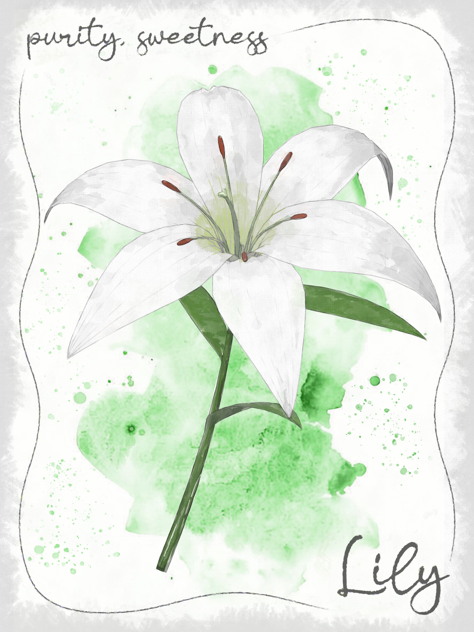 Jakub Siuda - Language of Flowers