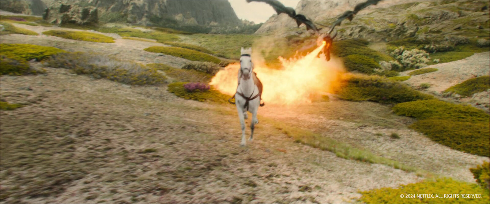 Environment and horse creation and setup
