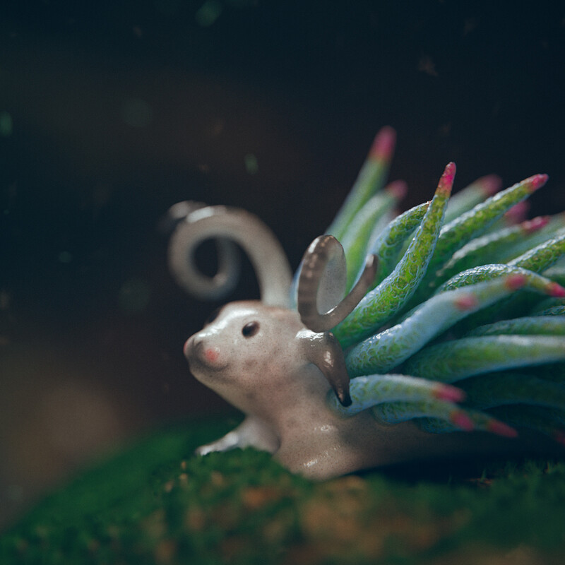 Sea Sheep
