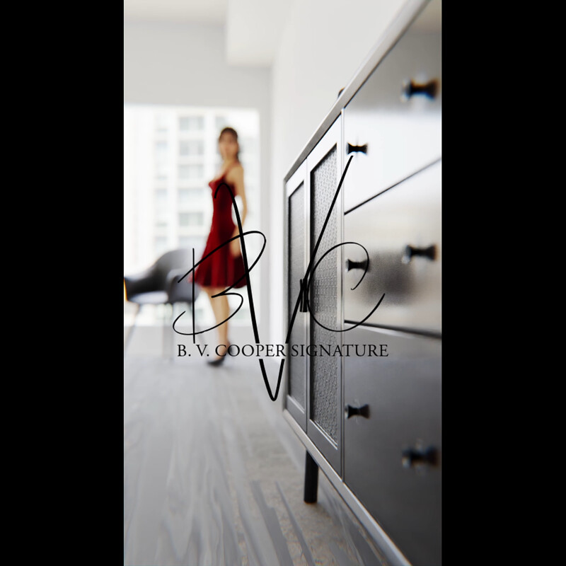 B.V. Cooper Artist Showcase Reels