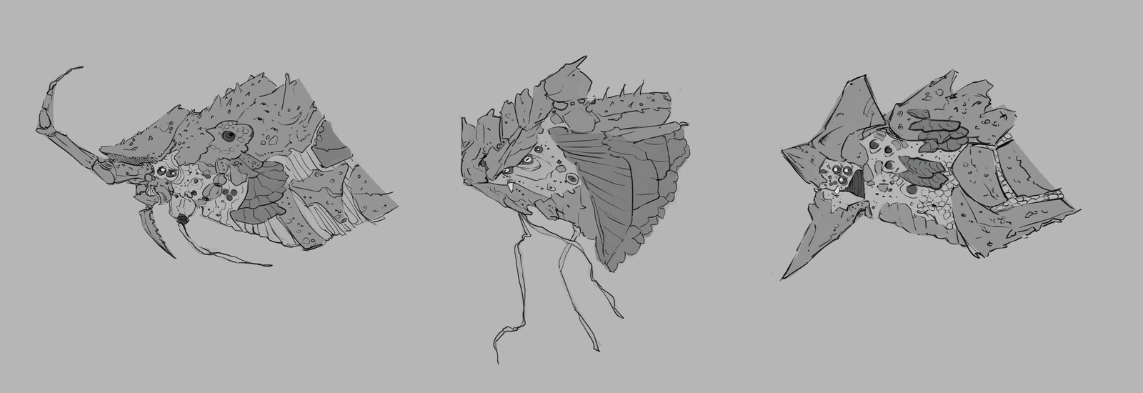 Head sketch