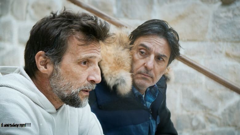 ArtStation - [FILMS 𝐕𝐎𝐈𝐑] Frères `en Streaming-VF [FR!] en Français,𝐕𝐎𝐒𝐓𝐅𝐑