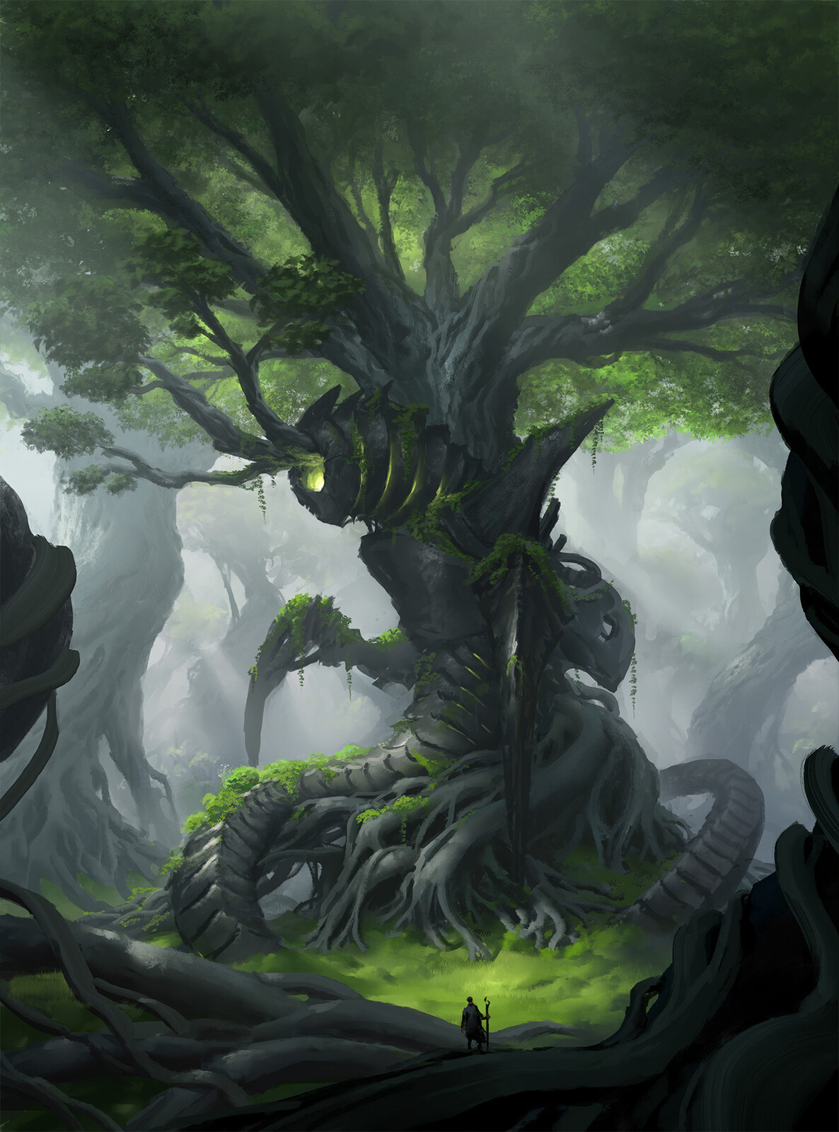 Forest