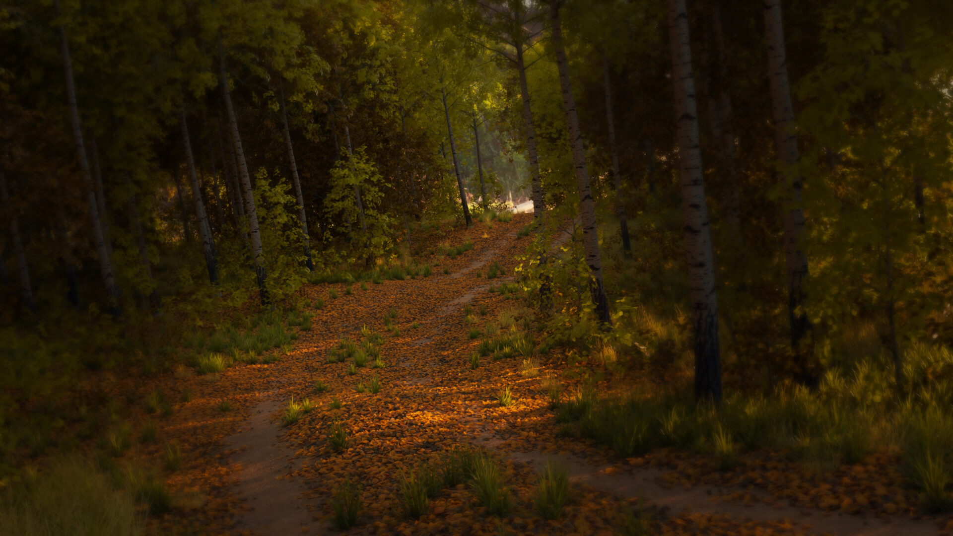 ArtStation - Moody Forest made with UltraScenery 2