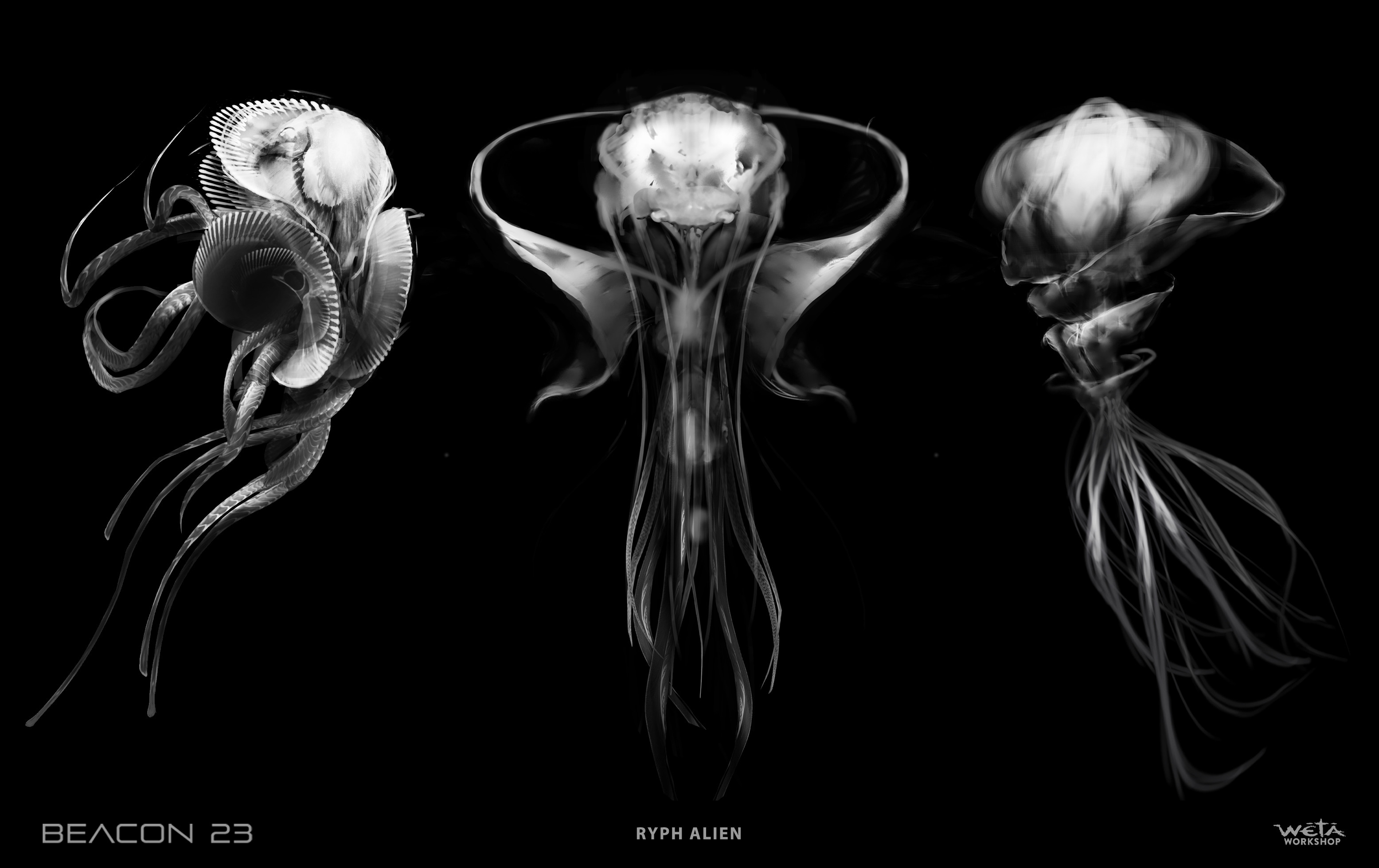 Artist: Tahiwi Trenor-Hunt