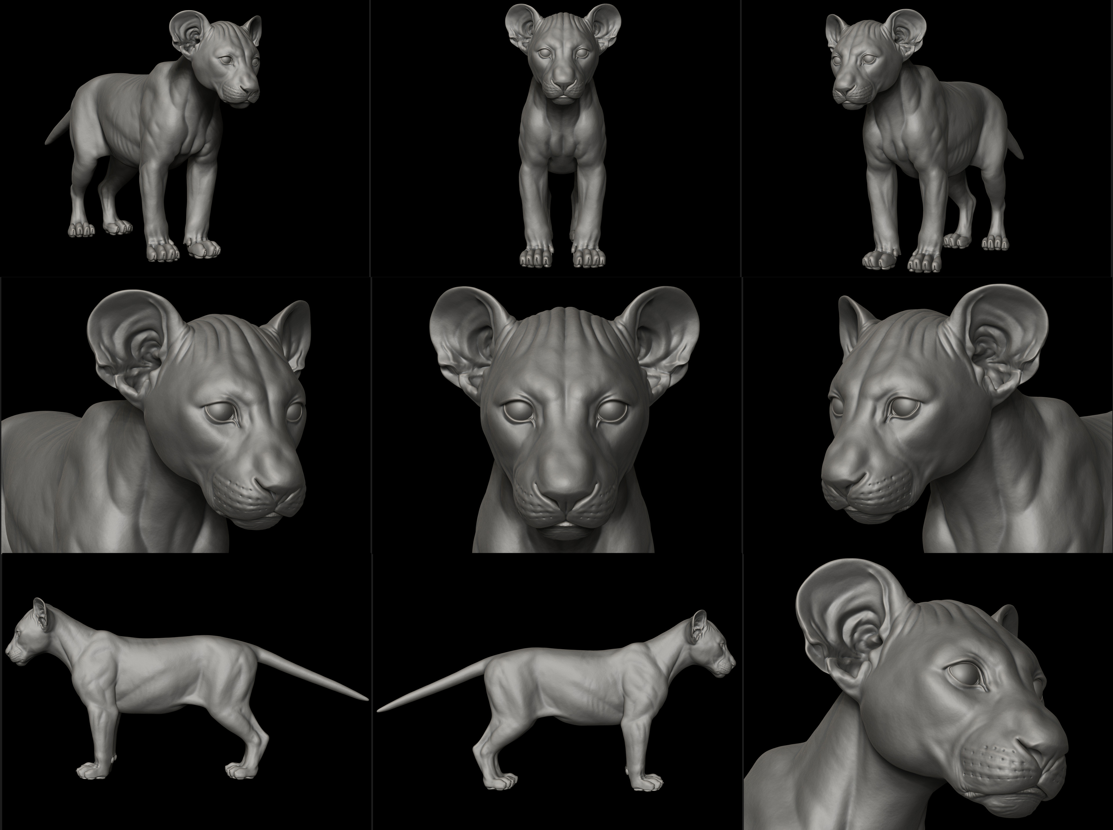 Zbrush Viewport