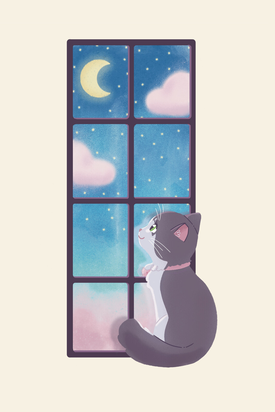 Stargazing Cat