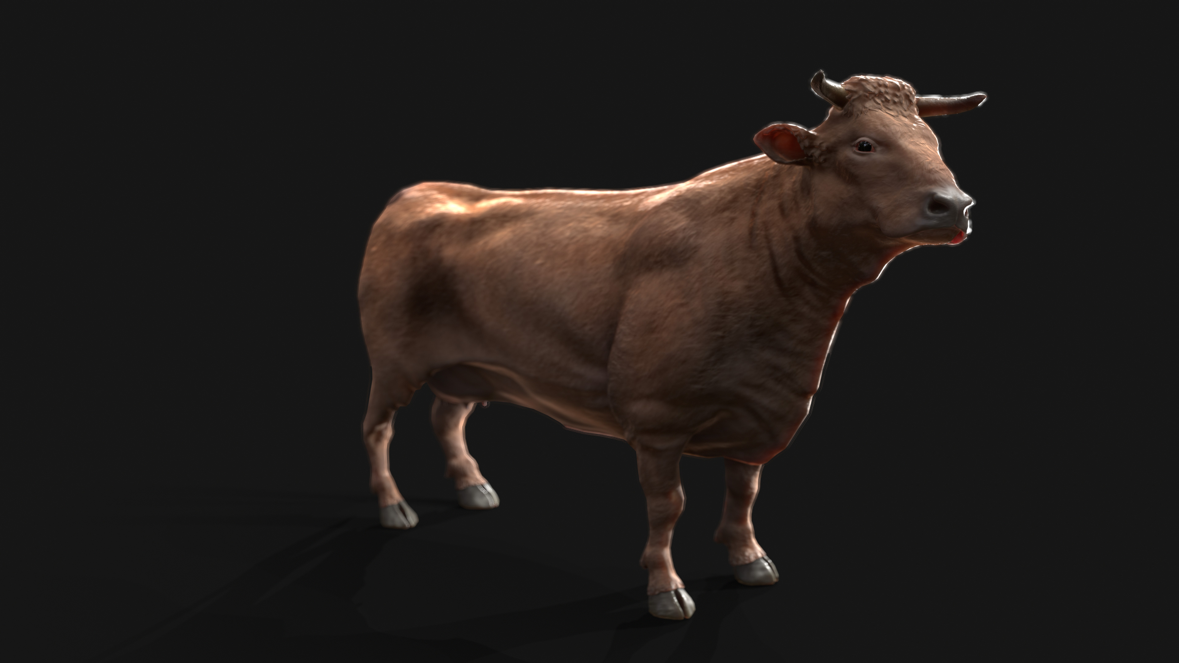 "What'er beaut-ful cow" - Farmer John