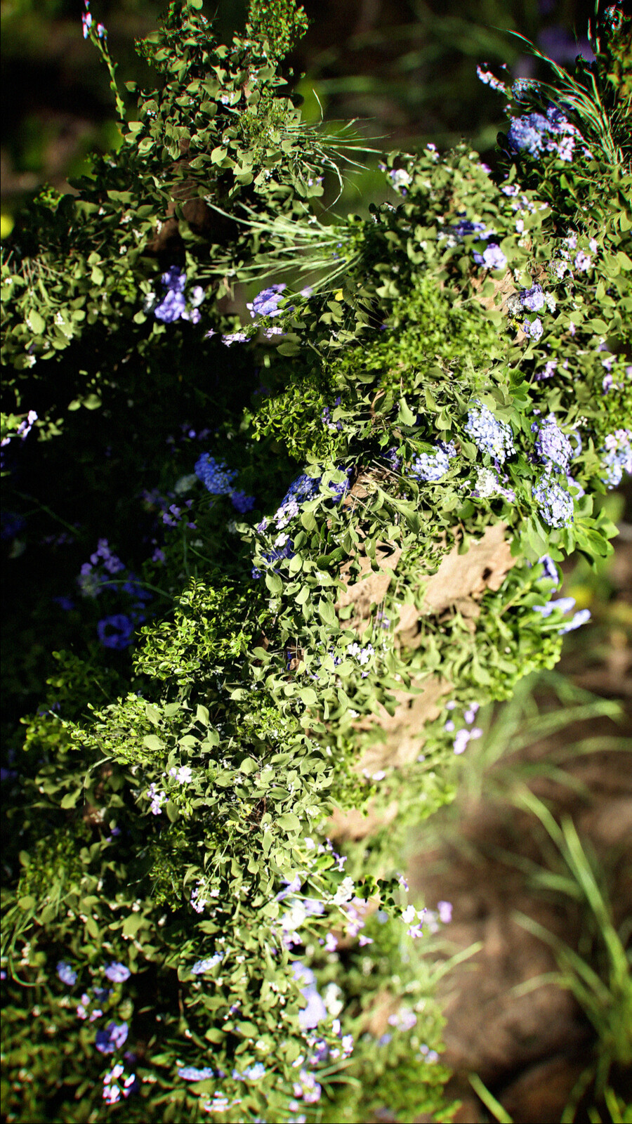 Green_Growth_Shot_03