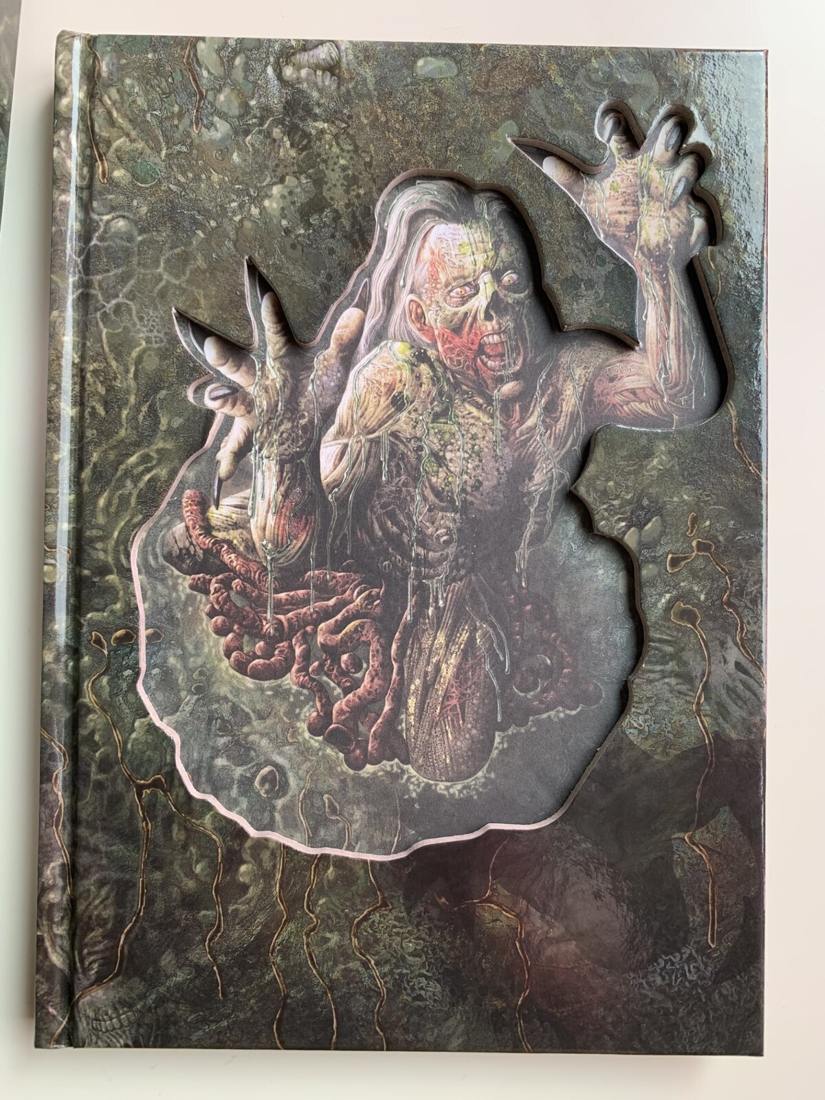 Book Cover Photo
