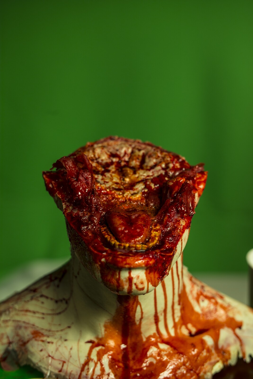Halved Head Silicone Anatomy Prop (with Brenna Haukedahl)